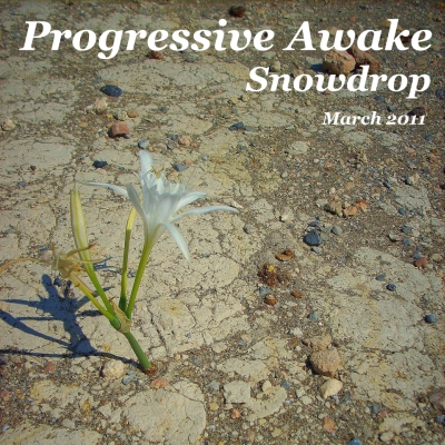 Shivioua - Snowdrop (March 2011)